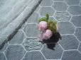 画像3: 人気のオフシロの薔薇柄の亀甲柄のストレッチラッセルレース　3.3Ｍ (3)