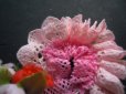 画像1: 簡単にレースの花が作れるフラワートーション！！！　ピンク   30c　 (1)