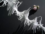 流行の綿ケミカルのアクセサリーレース　30センチ