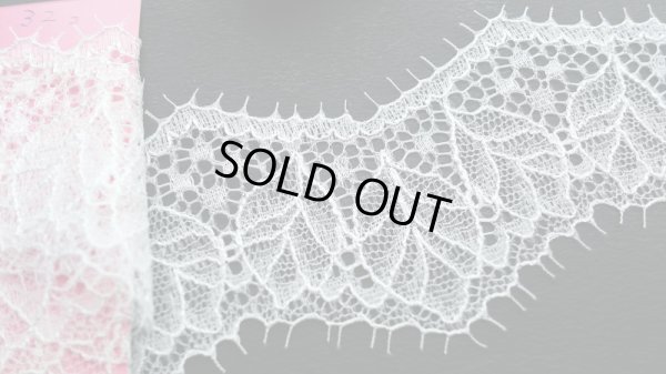 画像1: 超！お買い得品！人気のリーフ柄　高級ラッセル　アイラッシュレース　約1.5Ｍ