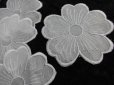 画像2: 人気の花柄の綿アップリケレース　オフ　15枚入り (2)