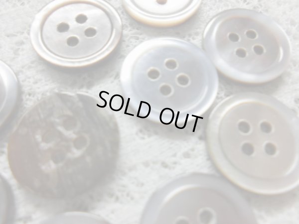 画像1: 約15ｍｍ　可愛いシェルボタ10個入り
