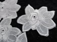 画像1: フェミニンな綿の人気の花柄・モチーフレース　10枚入り　　 (1)