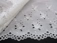 画像2: 数量限定！メチャメッチャお買い得なオフシロのエレガントなバラ柄の綿ボーダーレース　　1.5M (2)