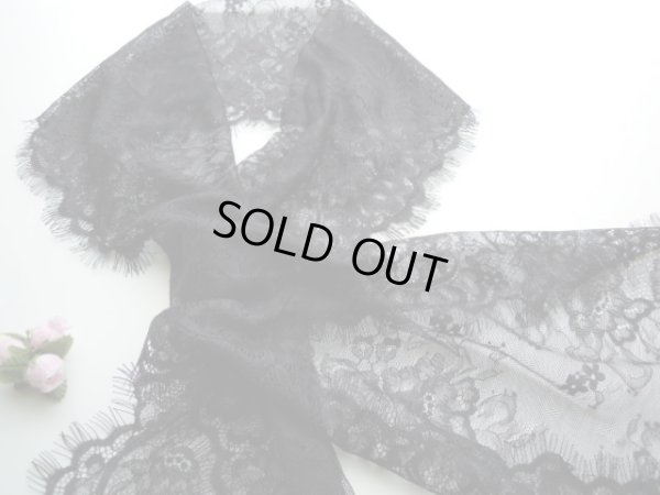 画像1: 高級ラッセル　アイラッシュレース　約1.5Ｍ