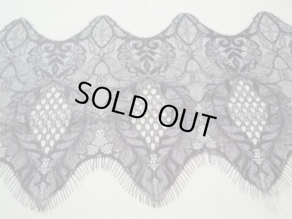 画像2: 高級ラッセル　アイラッシュレース　約1.4Ｍ