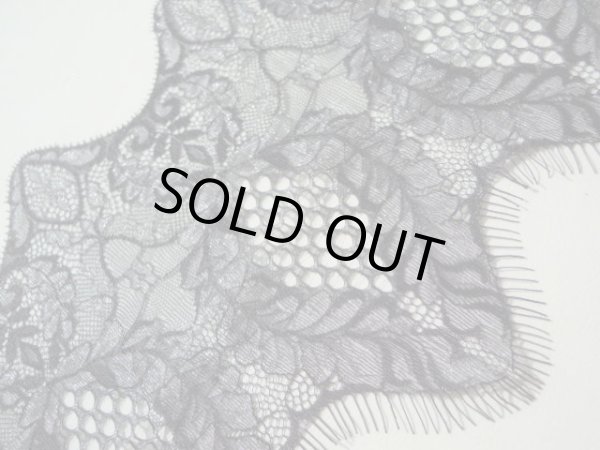 画像3: 高級ラッセル　アイラッシュレース　約1.4Ｍ