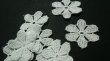 画像2: 人気のコットンの花柄　可愛いオフシロのエレガントなモチーフレース　10枚