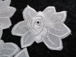 画像2: フェミニンな綿の人気の花柄・モチーフレース　10枚入り　　