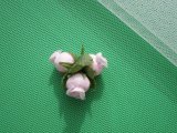 画像: ５０デニール　オフシロのハードチュール　1Ｍ　