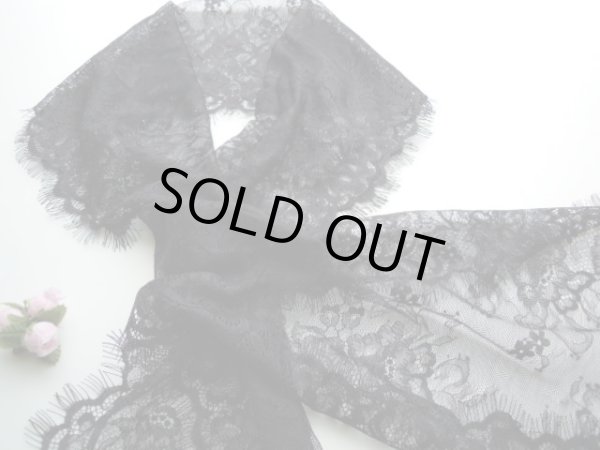 画像1: 高級ラッセル　アイラッシュレース　約1.5Ｍ